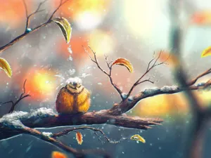 Autumn Winter Transition Owl.jpg Wallpaper