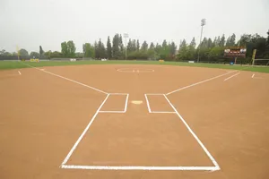 Awesome Softball Field On A Gloomy Day Wallpaper