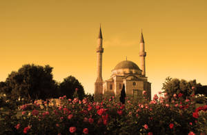 Azerbaijan Mosque With Flowers Wallpaper