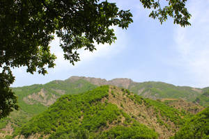 Azerbaijan Trees And Mountains Wallpaper