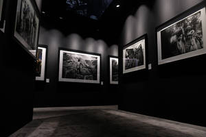 B&w Photographs In Art Gallery Wallpaper