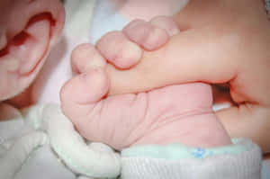Baby Hand Holding Finger Photo Wallpaper