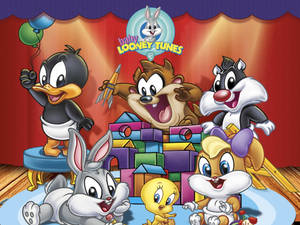 Baby Looney Tunes Onstage Wallpaper