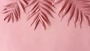 Baby Pink Leaves Aesthetic Wallpaper