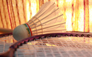 Badminton Racket And Shuttlecock Microphotography Wallpaper