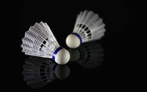Badminton White Shuttlecock Reflection Wallpaper