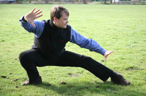 Bagua Crouching Stance Wallpaper