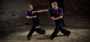 Bagua Practicing Self Defense Wallpaper