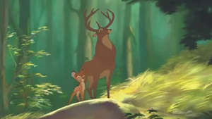 Bambi And His Father Wallpaper