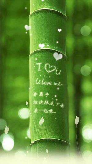 Bamboo I Heart You Iphone Wallpaper