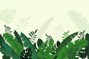 Banana And Other Plants Foliage Vector Art Wallpaper