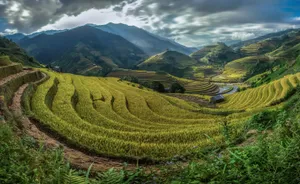 Banaue Rice Terraces In The Philippines Fisheye Shot Wallpaper
