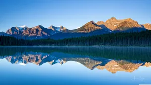 Banff National Park River Forest Mountains Wallpaper