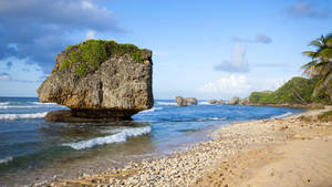 Barbados Beach Caribbean Wallpaper