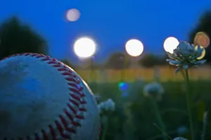 Baseball In The Field Wallpaper