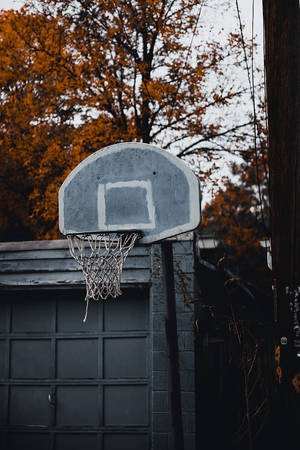 Basketball Ring Autumn Cool Basketball Iphone Wallpaper