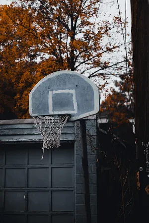 Basketball Ring Autumn Cool Basketball Iphone Wallpaper