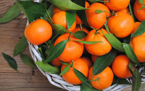 Basketful Satsuma Mandarin Fruits Wallpaper