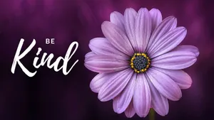 Be Kind Violet Flower Wallpaper