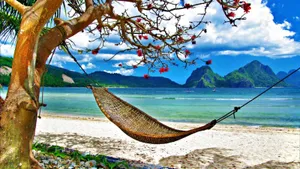 Beach Hammock Best Travel Desktop Wallpaper