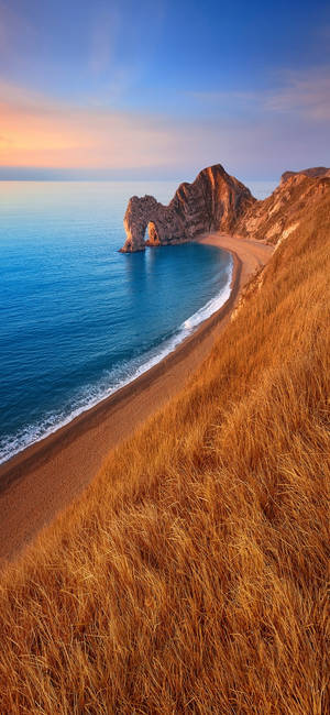 Beach Wave Iphone Curved Brown Shore Wallpaper