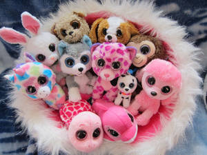 Beanie Boos In A Nest Wallpaper