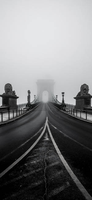 Beautiful Black White Iphone Széchenyi Chain Bridge Wallpaper