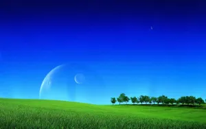 Beautiful Blue Sky Above The Greenery Wallpaper