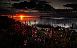 Beautiful Dark Body Of Water With Shrubs Wallpaper