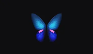 Beautiful Dark Butterfly On A Mysterious Floral Background Wallpaper