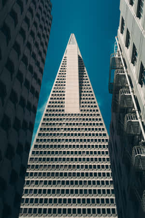 Beautiful Design Of The Transamerica Pyramid Wallpaper