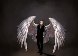 Beautiful Lucifer Wings, Illuminated Against A Dark Background Wallpaper