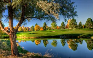 Beautiful Nature Photography Pond Grass Wallpaper