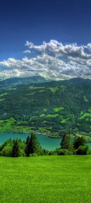 Beautiful Oneplus 8 Pro Image Wallpaper