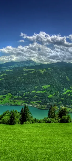 Beautiful Oneplus 8 Pro Image Wallpaper