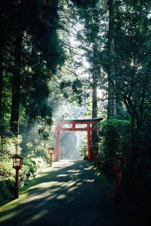Beautiful Red Japanese Bridge Surrounded By Cherry Trees Wallpaper
