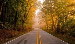 Beautiful Scenery Roadway Wallpaper