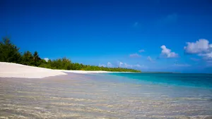 Beautiful Shore In Marshall Islands Wallpaper
