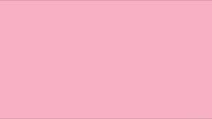 Beautiful Solid Pink Color Wallpaper
