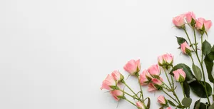 Beautifully Entwined Pink And White Roses Wallpaper