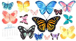 Beauty Of The Butterflies Of October Wallpaper