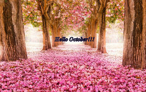 Bed Of Pink Flowers Hello October Wallpaper