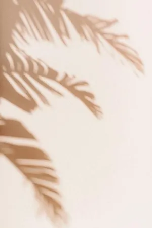 Beige Aesthetic Phone With Leaves Silhouette Wallpaper