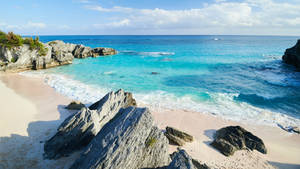 Bermuda Chaplin Bay Wallpaper