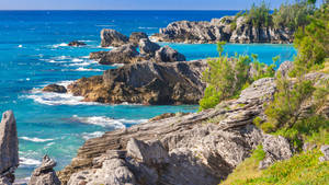 Bermuda Rocky Shore Wallpaper