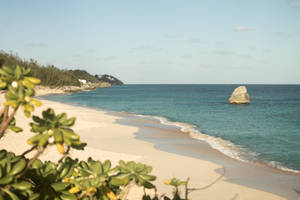 Bermuda Shoreline Wallpaper