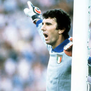Best Goalkeeper Dino Zoff Wallpaper