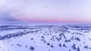 Best Quality Snow Covered Field Wallpaper