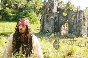 Bewildered Jack Sparrow Wallpaper