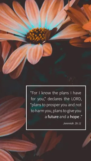 Bible Verse Jeremiah 29:11 Wallpaper